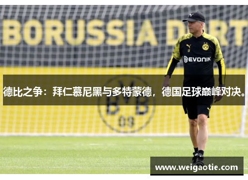 德比之争：拜仁慕尼黑与多特蒙德，德国足球巅峰对决。